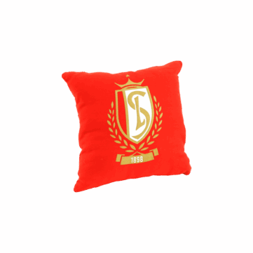 Coussin Brodé Personnalisé