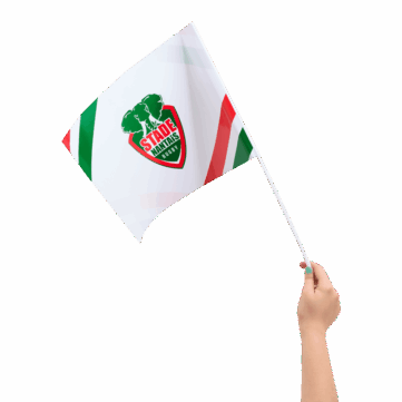 Drapeaux à main en papier