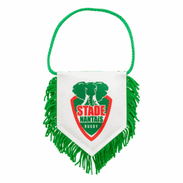 Fanion personnalisé imprimé