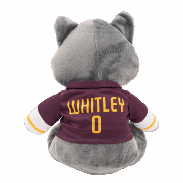 Peluche personnalisée